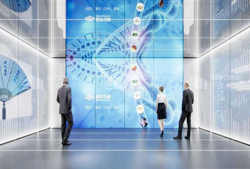 哪里有卖双血统拉布拉多成年犬