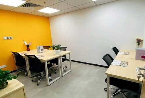 哪里有卖双血统拉布拉多成年犬