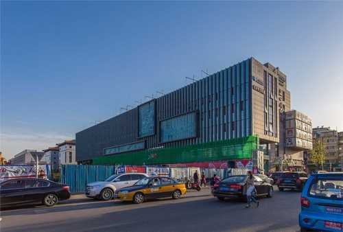 崇明区休闲撸猫找哪家