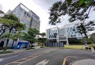 怀化无污染家政服务公司