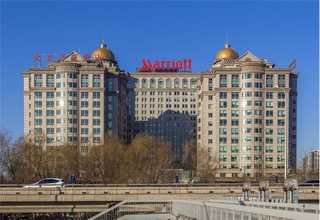 女人额头中间有点脱发是什么原因