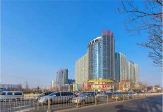 海南高质量海藻肥抗倒伏